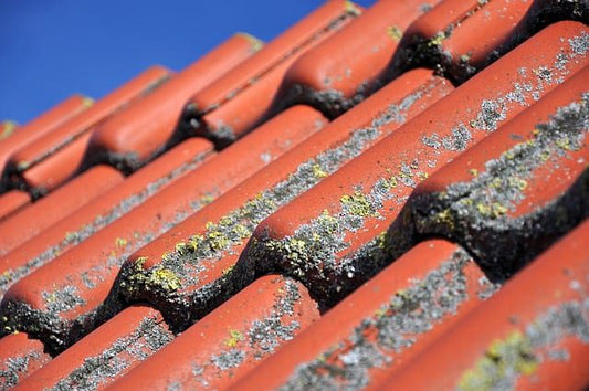 Roof Replacement Costs Homeowners Need To Watch Out For
