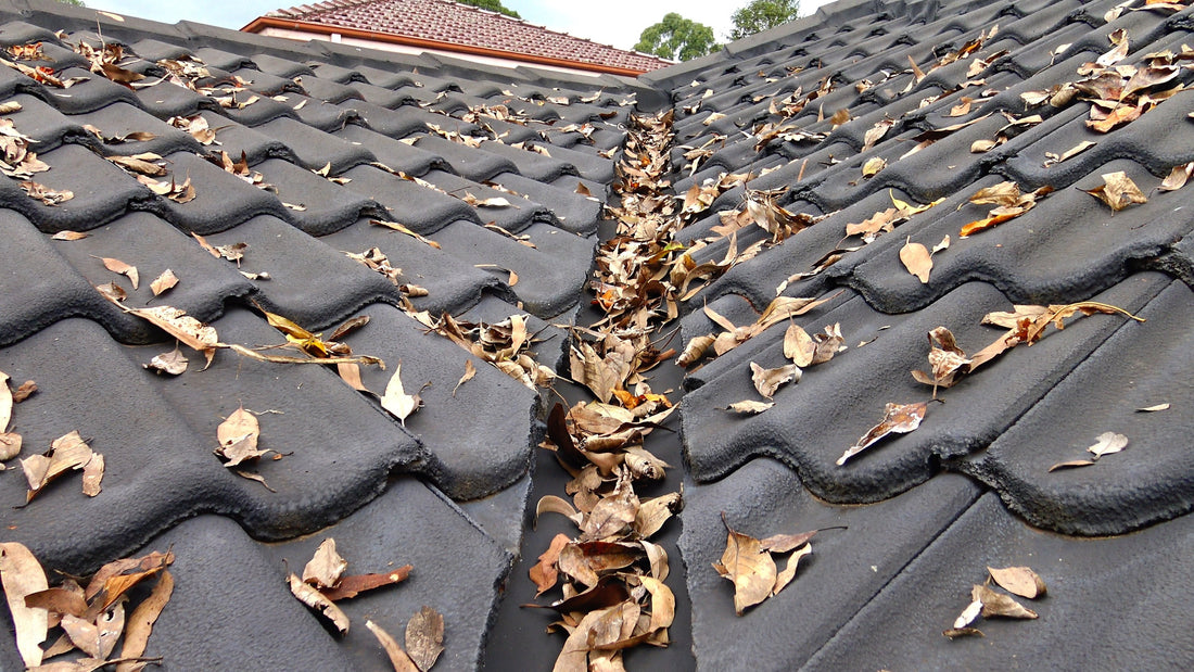 Gutter Guard: What They Are, How They Work and Why You Need One