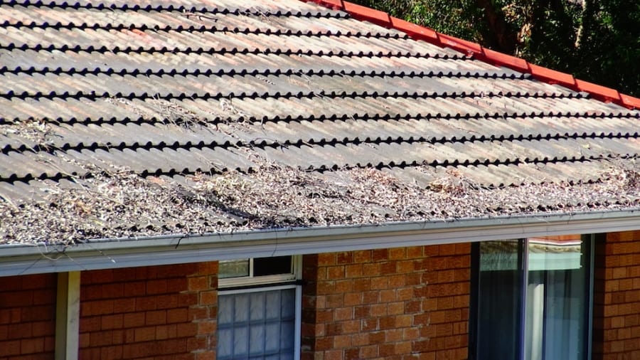 Severe Weather Gutter Protection | Bushfire & Storm Preparedness – Leaf ...