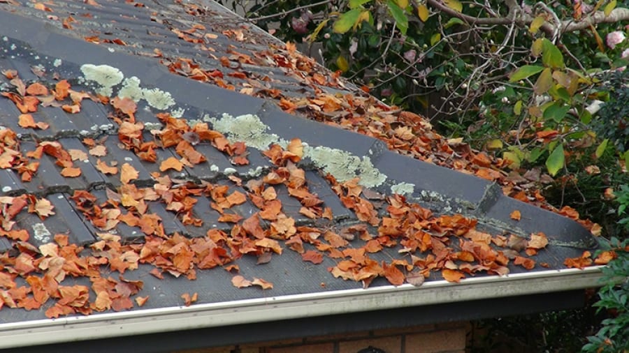 All Four Season Gutter Protection With Leaf Stopper Gutter Guards